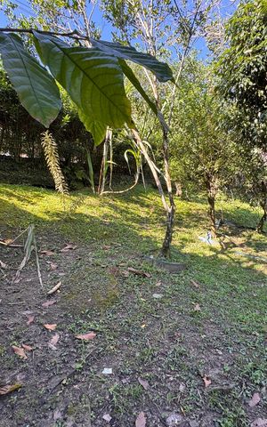 Casa de condomínio para alugar com 280m², 3 quartos e 2 vagasÁrea externa