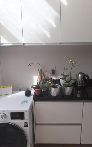 Casa à venda com 177m², 2 quartos e 2 vagasLavanderia