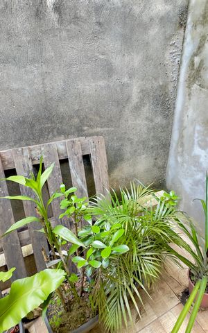 Casa para alugar com 98m², 2 quartos e 1 vagaSacada quarto 2