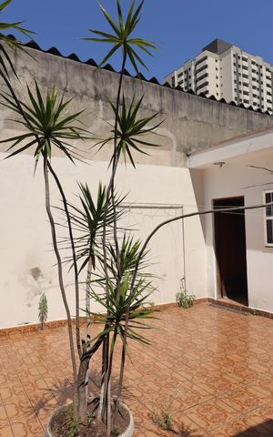 Casa para alugar com 126m², 2 quartos e 2 vagasQuintal