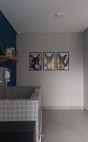 Apartamento para alugar com 35m², 2 quartos e sem vaga Apartamento para alugar com 35m², 2 quartos e sem vagaPet Place