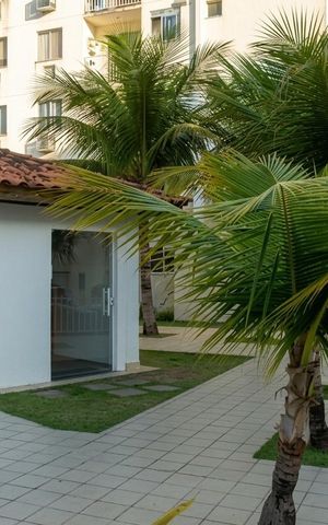 Apartamento para alugar com 52m², 2 quartos e 1 vaga Apartamento para alugar com 52m², 2 quartos e 1 vagaÁrea externa