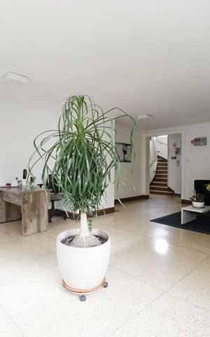 Apartamento à venda com 76m², 2 quartos e sem vagaHall de entrada