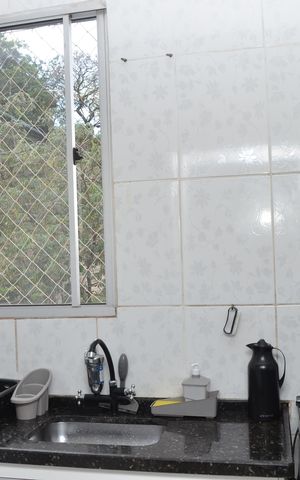 Apartamento para alugar com 42m², 2 quartos e 1 vagaCozinha e Área de Serviço