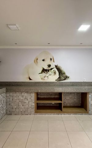 Apartamento para alugar com 32m², 2 quartos e sem vaga Apartamento para alugar com 32m², 2 quartos e sem vagaPet Care
