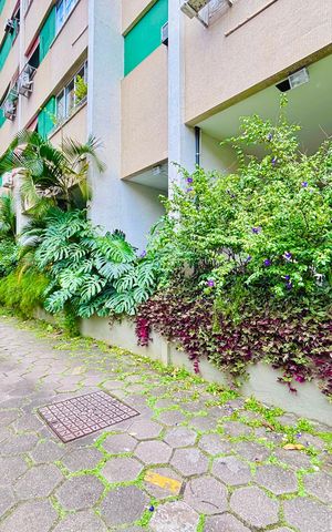 Apartamento para alugar com 81m², 3 quartos e sem vaga
