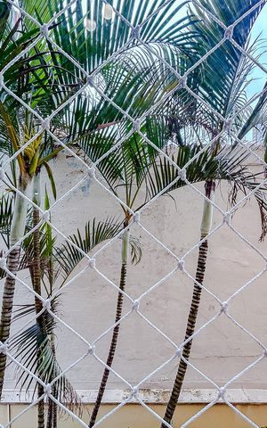 Apartamento para alugar com 50m², 1 quarto e 1 vagaVista da Sala