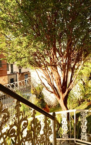 Casa à venda com 502m², 6 quartos e 4 vagas Casa à venda com 502m², 6 quartos e 4 vagasJardim