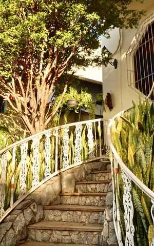 Casa à venda com 502m², 6 quartos e 4 vagas Casa à venda com 502m², 6 quartos e 4 vagasJardim