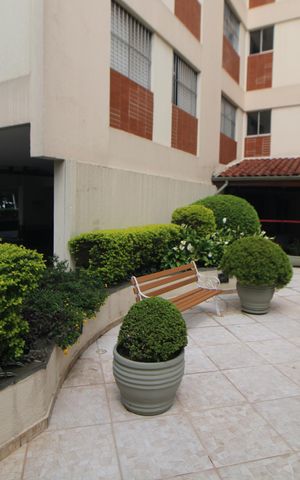 Apartamento à venda com 55m², 3 quartos e 1 vagaÁrea Comum