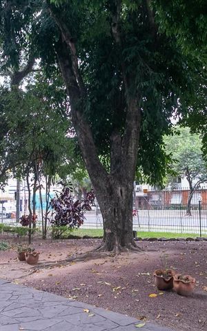 Apartamento à venda com 38m², 1 quarto e 1 vaga Apartamento à venda com 38m², 1 quarto e 1 vagaÁrea comum