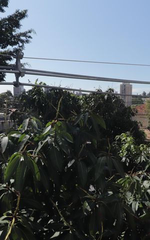 Apartamento à venda com 37m², 1 quarto e sem vagaVista da Sacada