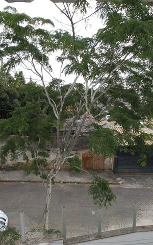 Casa de condomínio à venda com 125m², 2 quartos e 1 vagaVista