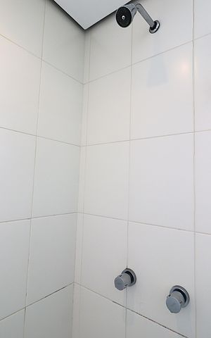 Apartamento para alugar com 59m², 2 quartos e 1 vagaBanheiro social