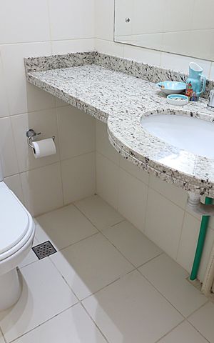 Apartamento para alugar com 59m², 2 quartos e 1 vagaBanheiro social