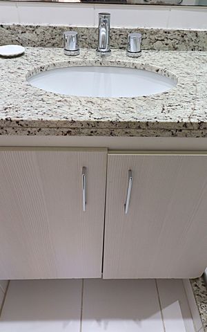 Apartamento para alugar com 59m², 2 quartos e 1 vagaBanheiro da  Suíte