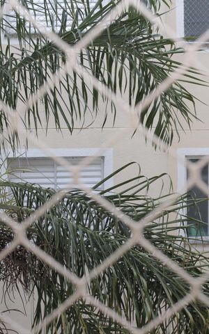 Apartamento à venda com 54m², 2 quartos e 1 vaga Apartamento à venda com 54m², 2 quartos e 1 vagaJanela do quarto 2