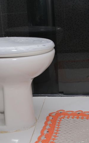 Apartamento à venda com 54m², 2 quartos e 1 vaga Apartamento à venda com 54m², 2 quartos e 1 vagaBanheiro
