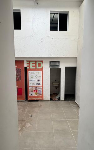 Casa para alugar com 260m², 7 quartos e sem vaga Casa para alugar com 260m², 7 quartos e sem vagaQuintal