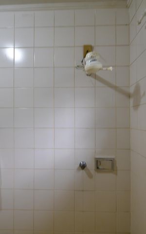 Casa para alugar com 360m², 6 quartos e 3 vagasBanheiro de serviço