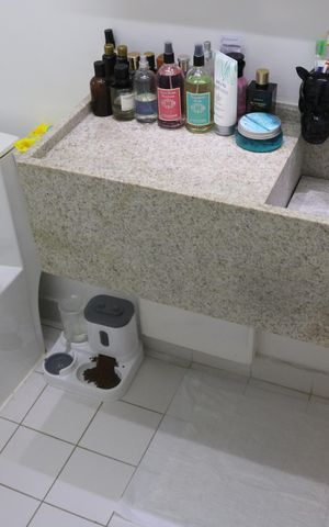 Apartamento à venda com 63m², 2 quartos e 1 vagaBanheiro 2