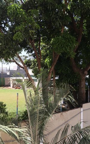 Apartamento para alugar com 45m², 2 quartos e 1 vagaVista