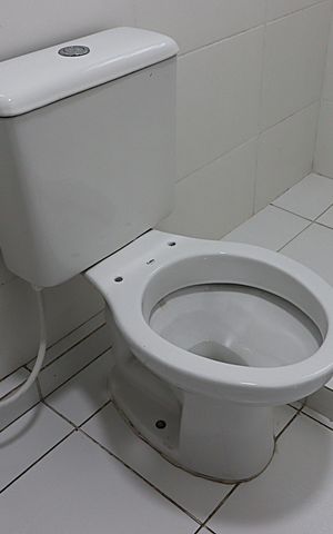Apartamento à venda com 51m², 2 quartos e 1 vagaBanheiro da Suíte