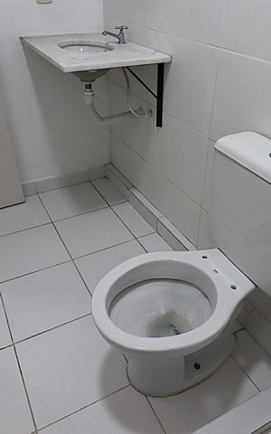 Apartamento à venda com 51m², 2 quartos e 1 vagaBanheiro Social 