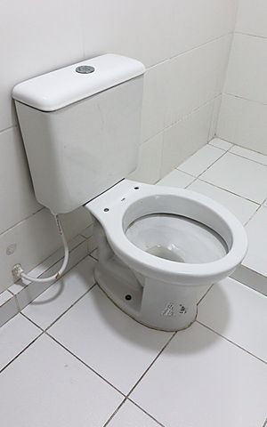Apartamento à venda com 51m², 2 quartos e 1 vagaBanheiro Social 