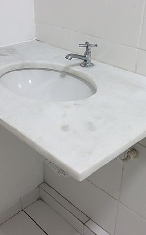 Apartamento à venda com 51m², 2 quartos e 1 vagaBanheiro Social 