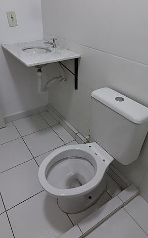 Apartamento à venda com 51m², 2 quartos e 1 vagaBanheiro da Suíte