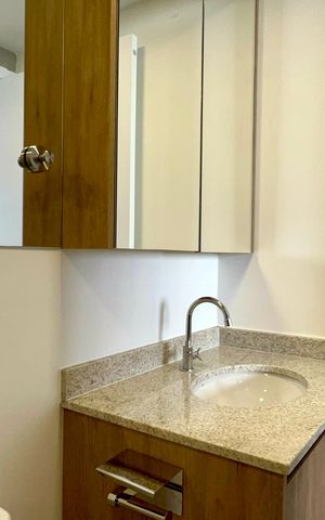Studio para alugar com 24m², 1 quarto e sem vaga Studio para alugar com 24m², 1 quarto e sem vagaBanheiro da Suíte