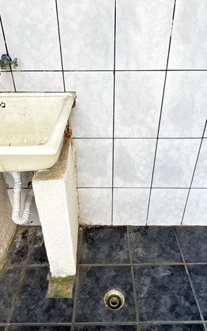 Casa para alugar com 55m², 1 quarto e 1 vagaQuintal - Area de Serviço