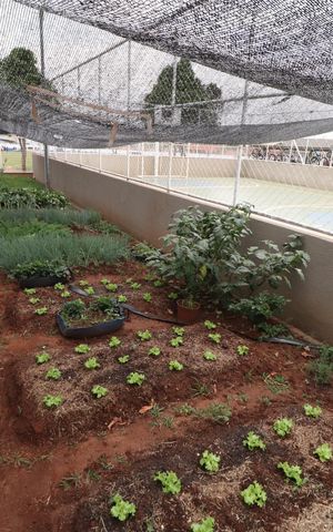 Apartamento para alugar com 50m², 2 quartos e 1 vagaÁrea comum