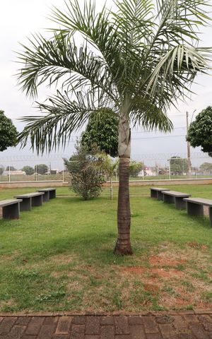 Apartamento para alugar com 50m², 2 quartos e 1 vagaÁrea comum
