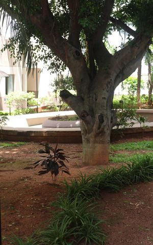 Apartamento à venda com 62m², 3 quartos e 1 vagaÁrea comum