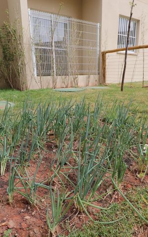 Apartamento à venda com 27m², 1 quarto e sem vagaHorta