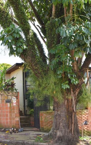 Casa para alugar com 203m², 3 quartos e 2 vagas Casa para alugar com 203m², 3 quartos e 2 vagasfachada do imovel