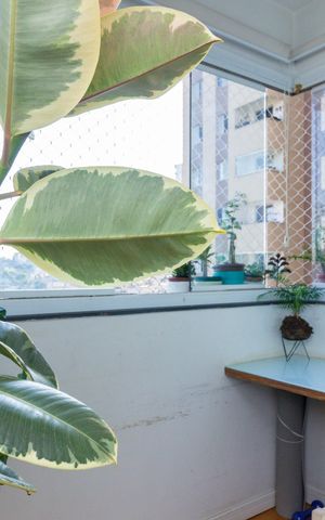 Apartamento à venda com 62m², 3 quartos e 1 vagaVaranda