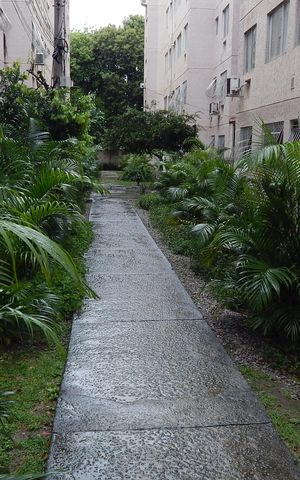 Apartamento para alugar com 50m², 2 quartos e sem vagaÀrea Verde