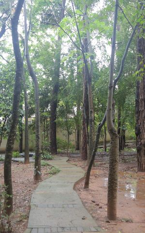 Apartamento à venda com 50m², 2 quartos e 1 vaga Apartamento à venda com 50m², 2 quartos e 1 vagaÁrea verde bosque
