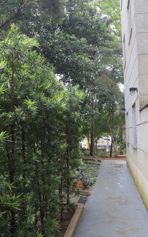Apartamento à venda com 50m², 2 quartos e 1 vaga Apartamento à venda com 50m², 2 quartos e 1 vagaÁrea verde