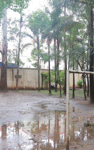Apartamento à venda com 50m², 2 quartos e 1 vaga Apartamento à venda com 50m², 2 quartos e 1 vagaÁrea verde quadra