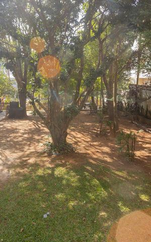 Apartamento para alugar com 75m², 3 quartos e 1 vagaBosque