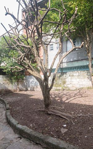 Casa à venda com 180m², 4 quartos e 2 vagas Casa à venda com 180m², 4 quartos e 2 vagasCasa 3