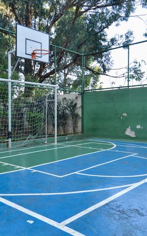 Apartamento para alugar com 55m², 2 quartos e 1 vaga Apartamento para alugar com 55m², 2 quartos e 1 vagaQuadra Esportiva
