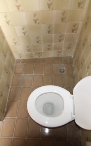 Casa para alugar com 70m², 1 quarto e sem vagaBanheiro