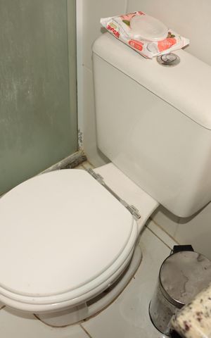 Apartamento à venda com 53m², 2 quartos e 1 vagaBanheiro