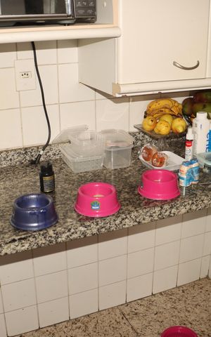 Apartamento à venda com 53m², 2 quartos e 1 vagaCozinha