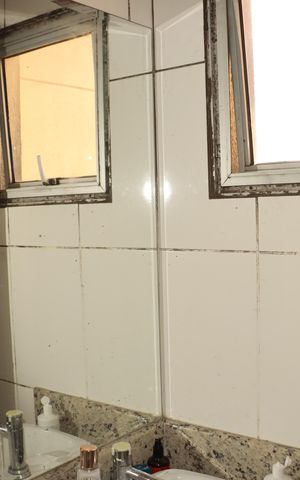 Apartamento à venda com 53m², 2 quartos e 1 vagaBanheiro